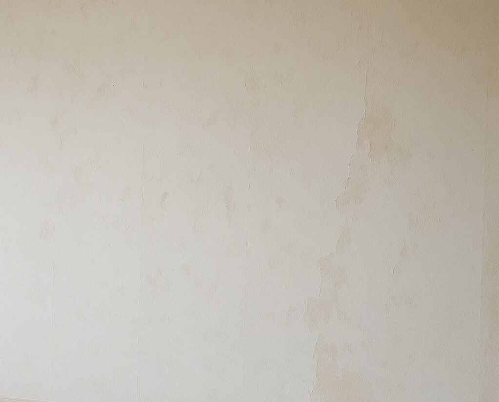 ALT Text: Bare interior wall sealed with Resene Sureseal to prepare surface after wallpaper removal in Hamilton